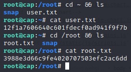 User & Root Flags