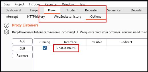 Burpsuite Proxy Settings